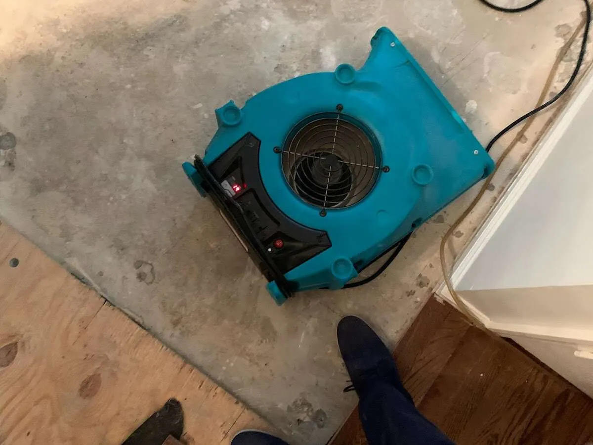Air mover drying subfloor during Commercial Water Damage Restoration in South Strabane